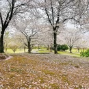 北京旅游 缩略图 7