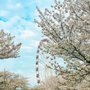 北京旅游 缩略图 10