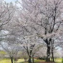 北京旅游 缩略图 13