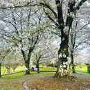 北京旅游 缩略图 11