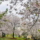 北京旅游 缩略图 14