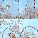 上海旅游 缩略图 3