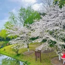 北京旅游 缩略图 17