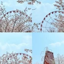 上海旅游 缩略图 5