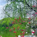 北京旅游 缩略图 16