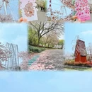 上海旅游 缩略图 1