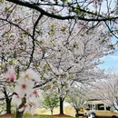 北京旅游 缩略图 18