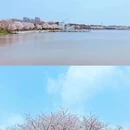 上海旅游 缩略图 7