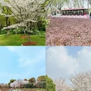 上海旅游 缩略图 6