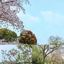 上海旅游 缩略图 9