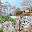 上海旅游 缩略图 8