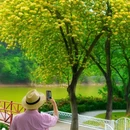 广州旅游 缩略图 4