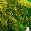 广州旅游 缩略图 9