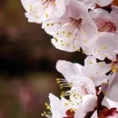 乌鲁木齐旅游 缩略图 2