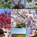 乌鲁木齐旅游 缩略图 1