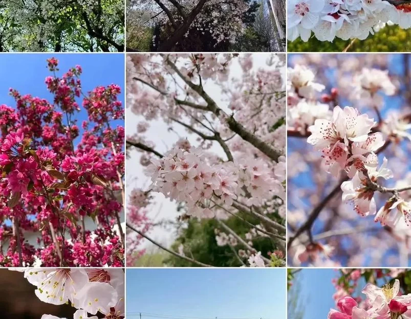乌鲁木齐旅游 1