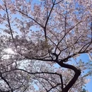 乌鲁木齐旅游 缩略图 7