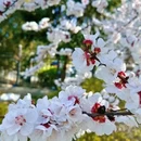乌鲁木齐旅游 缩略图 5