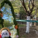 北京旅游 缩略图 2
