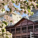 天津旅游 缩略图 1
