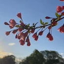 北京旅游 缩略图 8