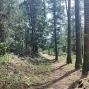 宁波旅游 缩略图 6
