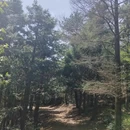 宁波旅游 缩略图 4