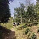 宁波旅游 缩略图 8