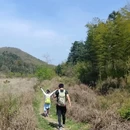 宁波旅游 缩略图 7
