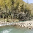 宁波旅游 缩略图 9