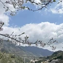 宁波旅游 缩略图 11
