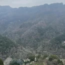 宁波旅游 缩略图 14