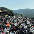 黄山旅游 缩略图 5