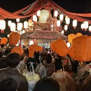 黄山旅游 缩略图 10