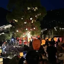 黄山旅游 缩略图 11