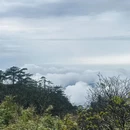 黄山旅游 缩略图 8