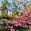 北京旅游 缩略图 1
