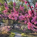 北京旅游 缩略图 2