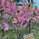 北京旅游 缩略图 5