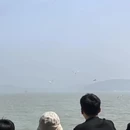 无锡旅游 缩略图 5