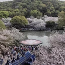 无锡旅游 缩略图 3