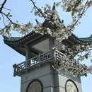 无锡旅游 缩略图 8