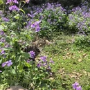 无锡旅游 缩略图 6