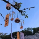 无锡旅游 缩略图 13