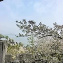 无锡旅游 缩略图 10