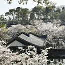 无锡旅游 缩略图 2