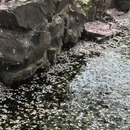 无锡旅游 缩略图 17