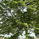 无锡旅游 缩略图 5