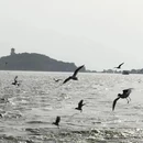无锡旅游 缩略图 6