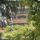 武汉旅游 缩略图 9